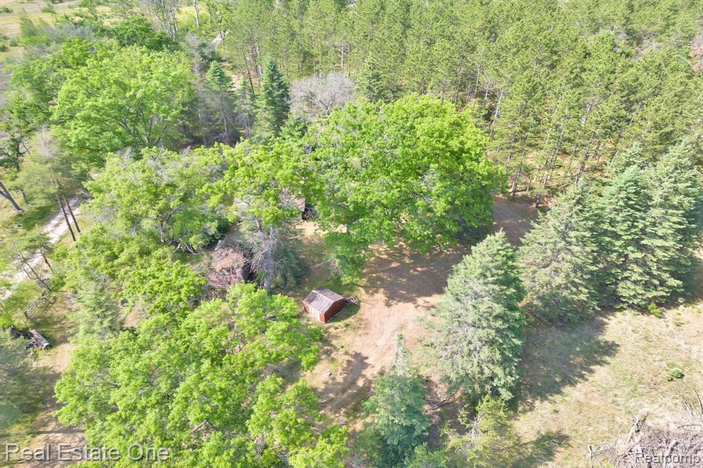 0 East Scribner Road Rose City, MI 48654 - Photo 15 of 20 Gallery Image 15