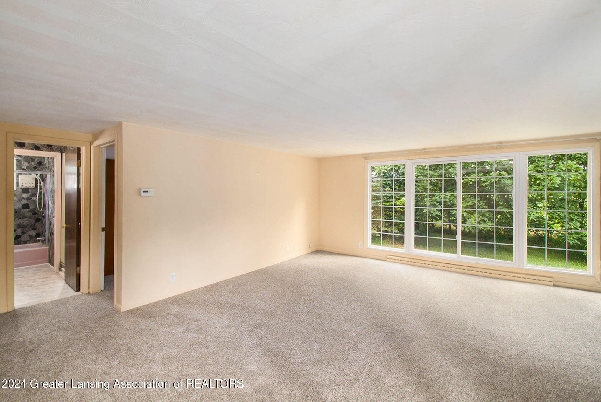 3017 West Maple Rapids Road St. Johns, MI 48879 - Photo 6 of 20 ndp1759