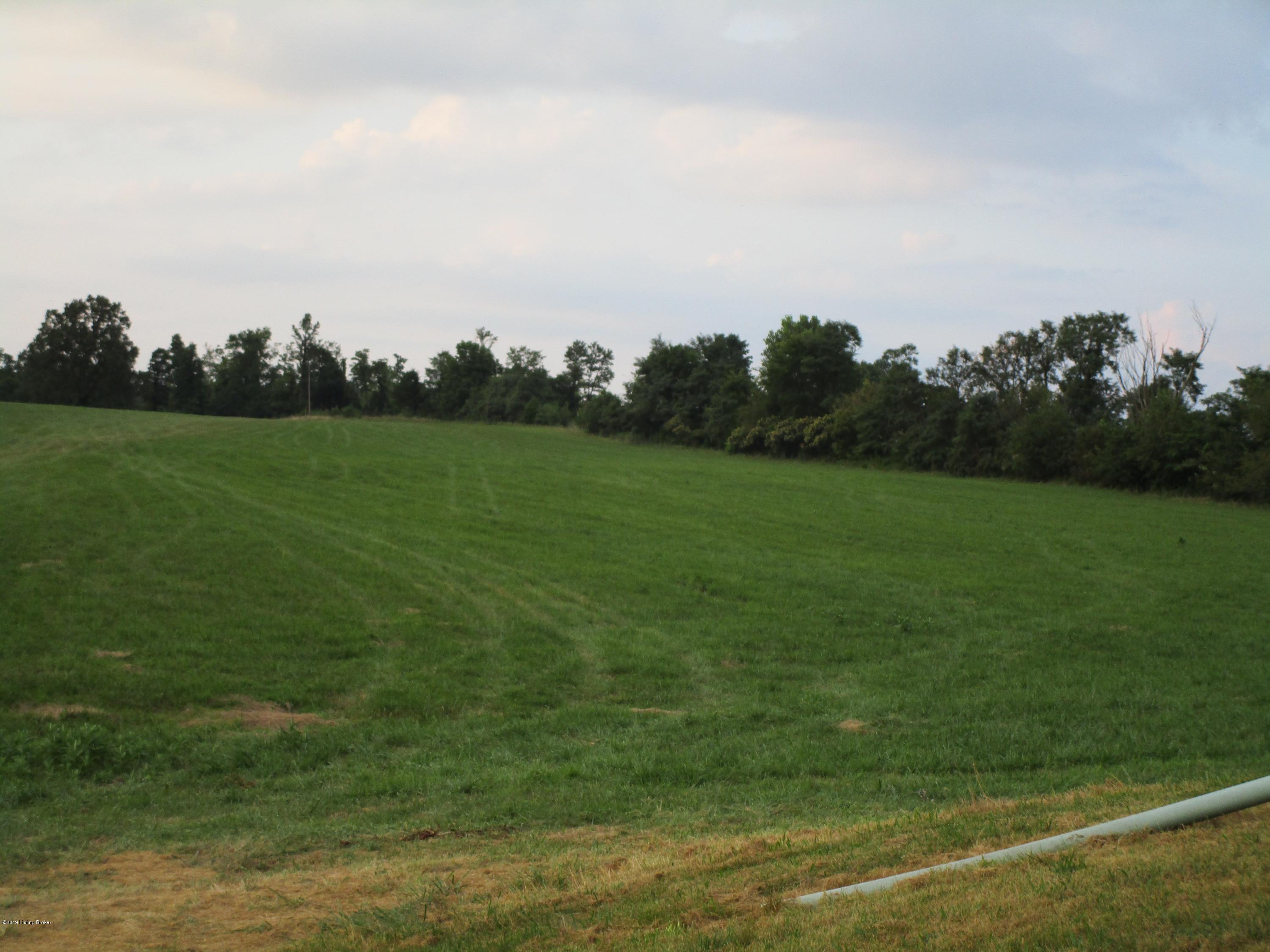 1171 Post-Hopewell Road Caneyville, KY 42721 - Photo 37 of 55 IMG_0184