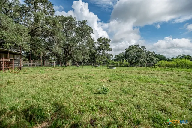 a view of a garden with a tree