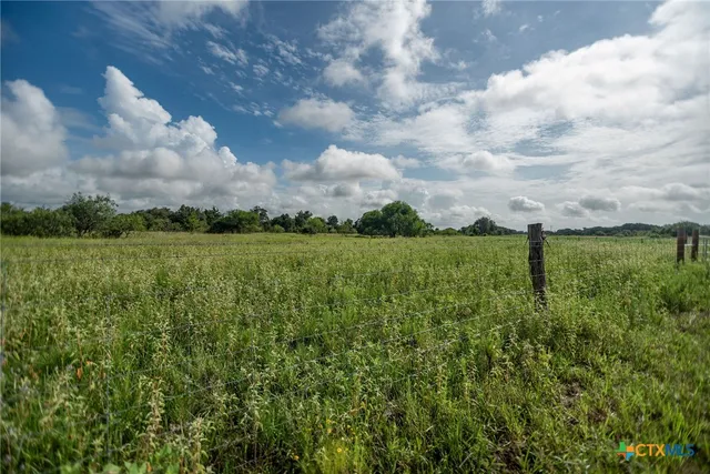 a view of a big yard with plants and large trees