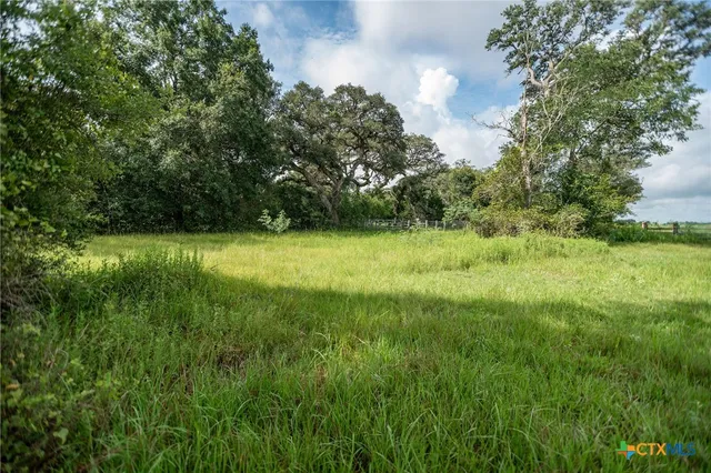 a view of outdoor space with trees all around