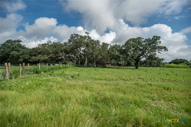 a view of a bird bath