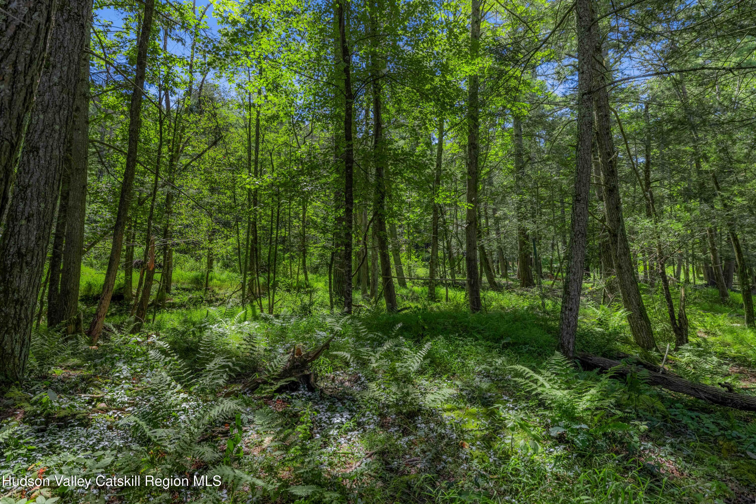 233 Wittenberg Road Bearsville, NY 12409 - Photo 26 of 31 19