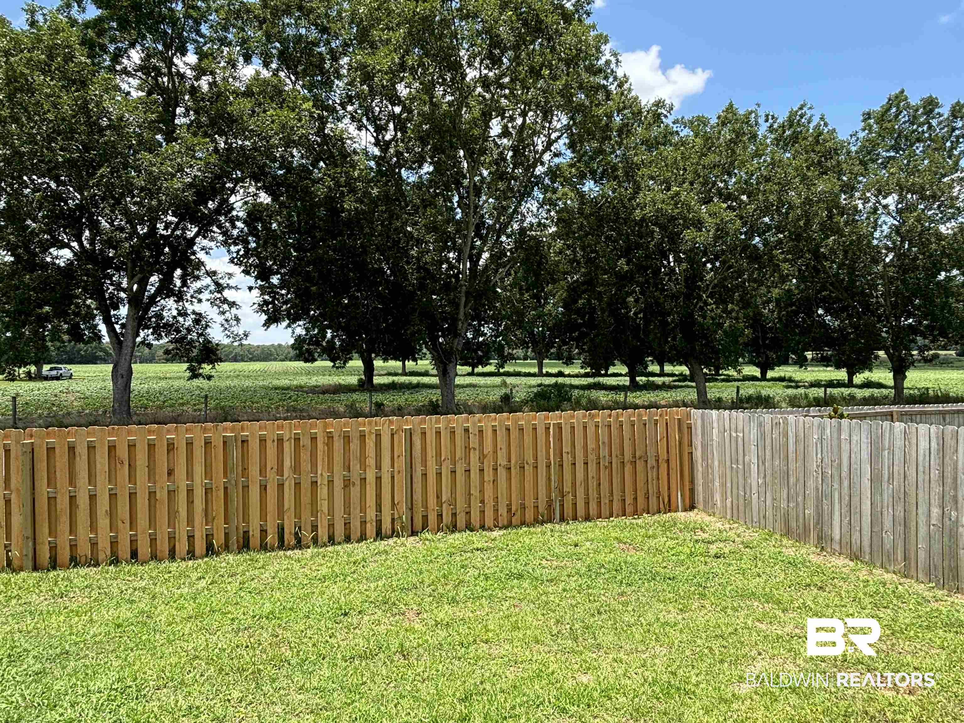 24504 Ponder Loop Loxley, AL 36551 - Photo 4 of 50 Fenced Backyard