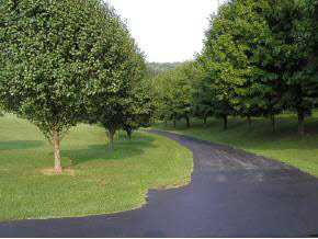 Tbd West Morris Mill Road Staunton, VA 24401 - Photo 4 of 9 Gallery Image 4