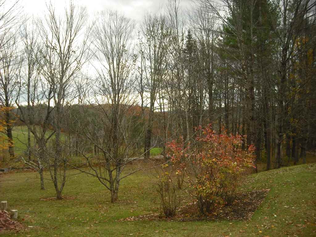 44 Egerton Road Langdon, NH 03602 - Photo 30 of 36 Gallery Image 30