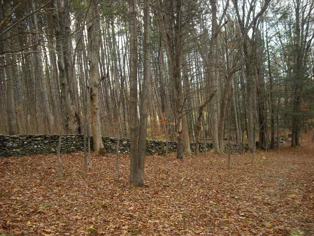 44 Egerton Road Langdon, NH 03602 - Photo 31 of 36 Gallery Image 31