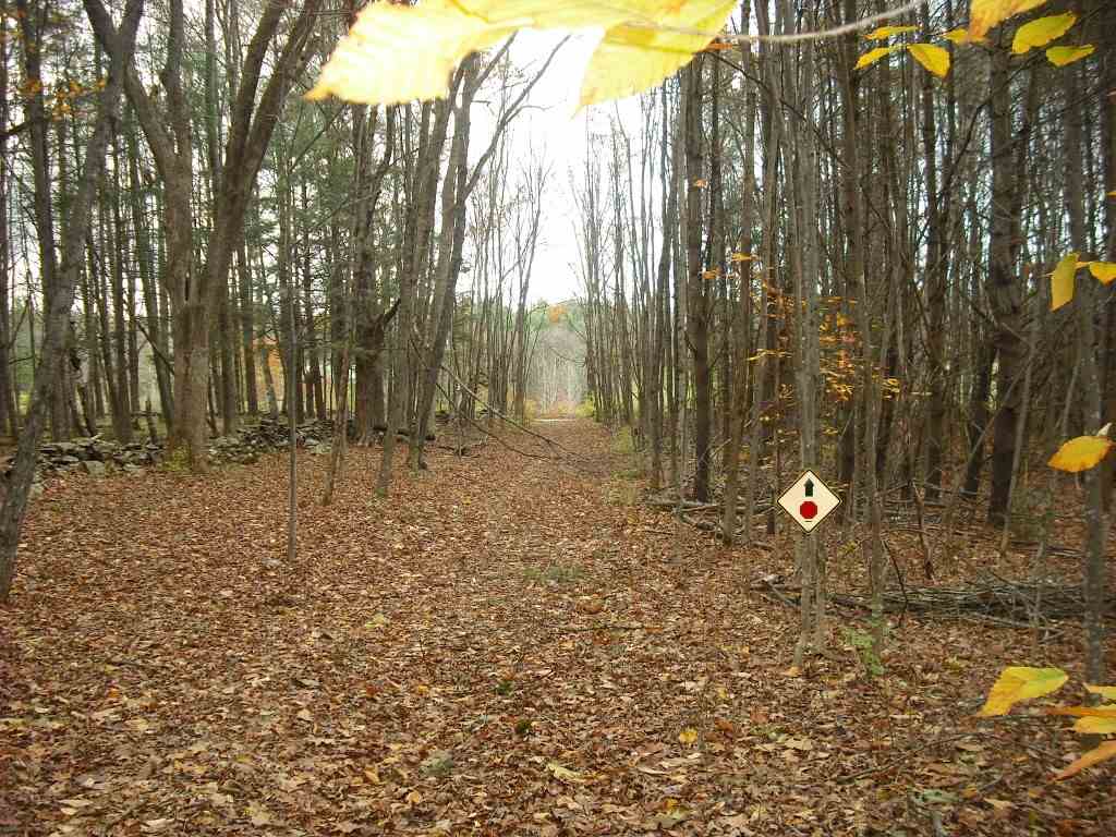 44 Egerton Road Langdon, NH 03602 - Photo 32 of 36 Gallery Image 32
