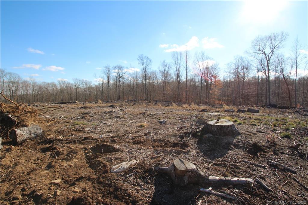 0 South Road, Unit 6 Bozrah, CT 06334 - Photo 1 of 1 a view of outdoor space with trees