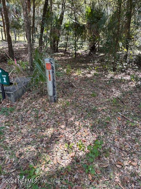 11 Southeast 265th Court Road Umatilla, FL 32784 - Photo 16 of 38 a view of outdoor space and a yard