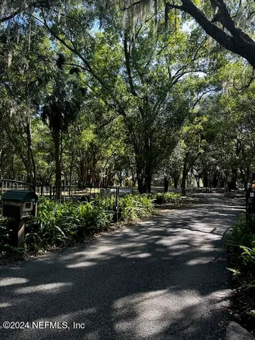 a view of a yard with large trees