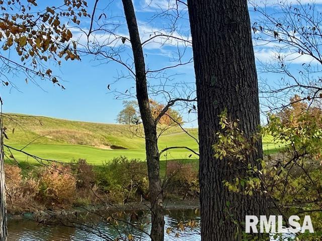 Lot 11 Masters Circle Sherrard, IL 61281 - Photo 4 of 12