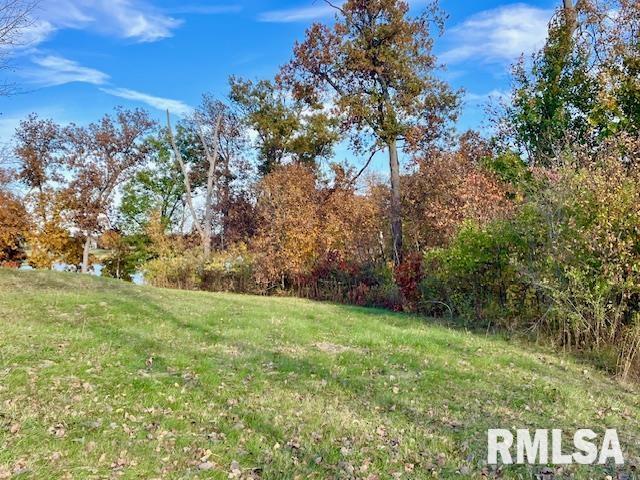 Lot 11 Masters Circle Sherrard, IL 61281 - Photo 5 of 12