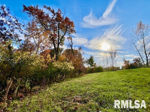 Lot 11 Masters Circle Sherrard, IL 61281 - Photo 6 of 12