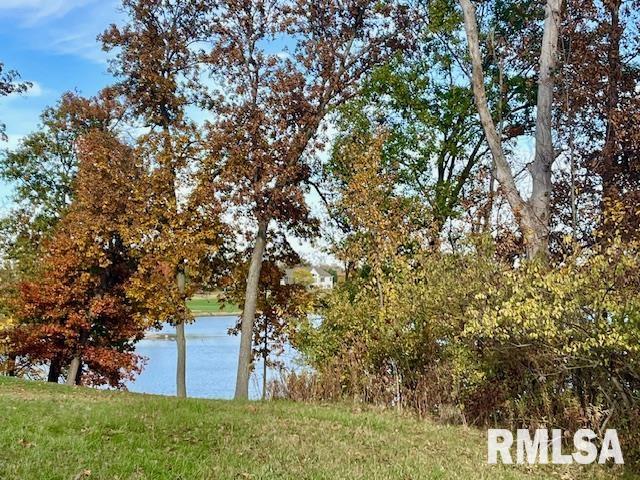 Lot 11 Masters Circle Sherrard, IL 61281 - Photo 7 of 12