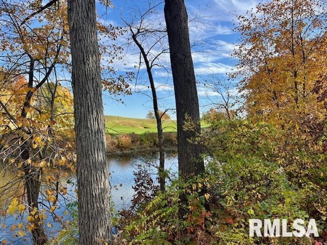 Lot 11 Masters Circle Sherrard, IL 61281 - Photo 9 of 12