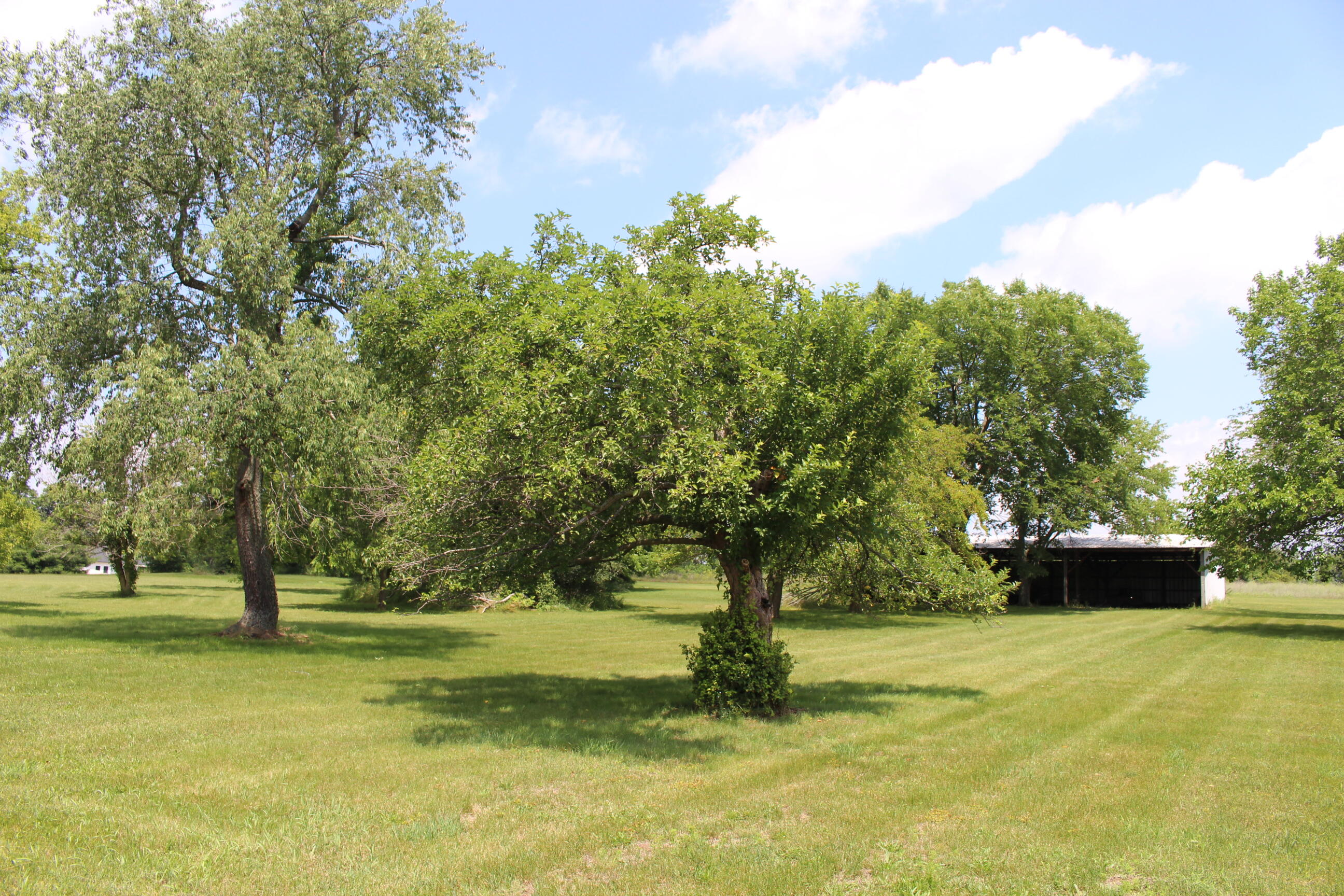 2786 Dinius Road Tecumseh, MI 49286 - Photo 11 of 49 IMG_0866