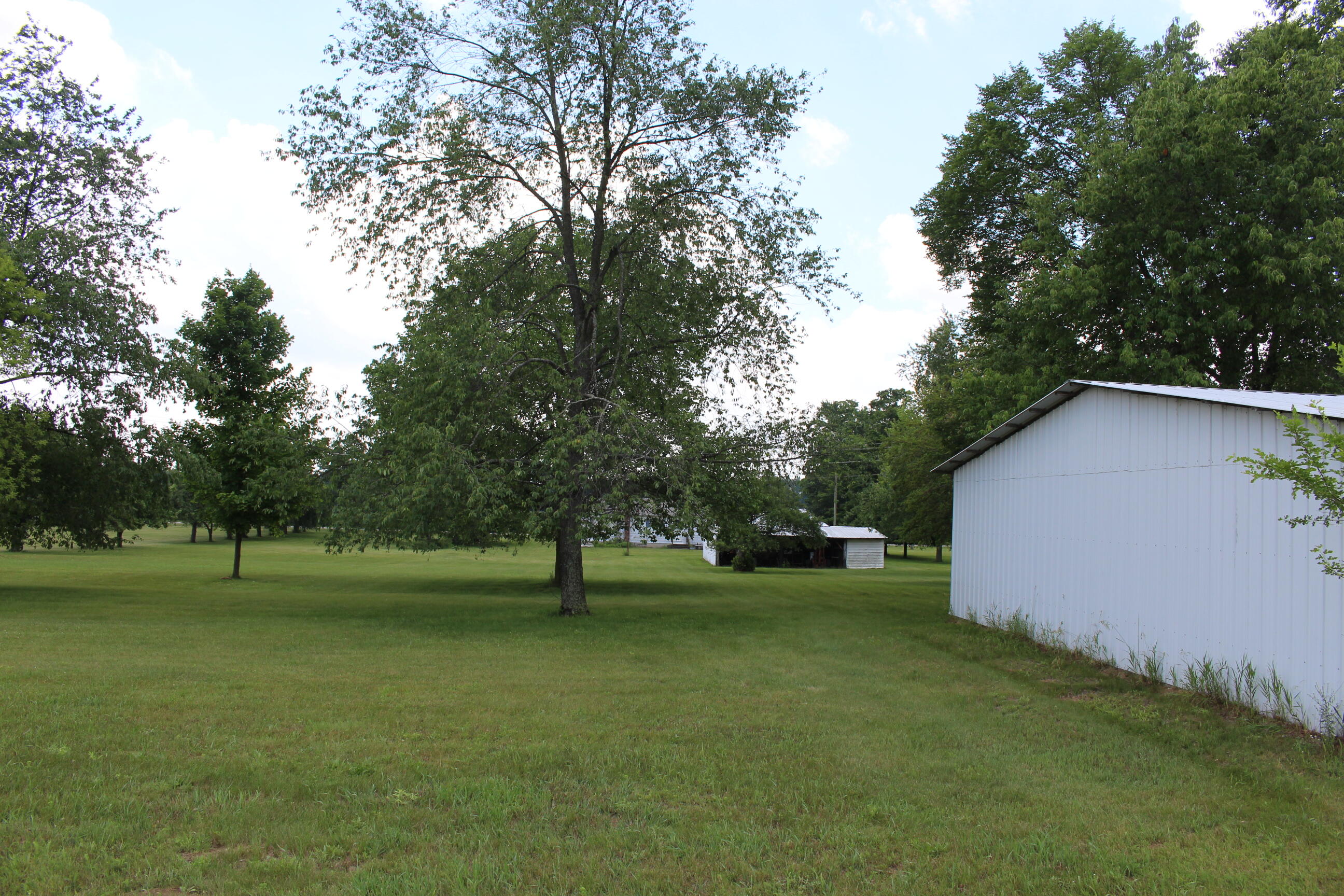 2786 Dinius Road Tecumseh, MI 49286 - Photo 20 of 49 IMG_0877