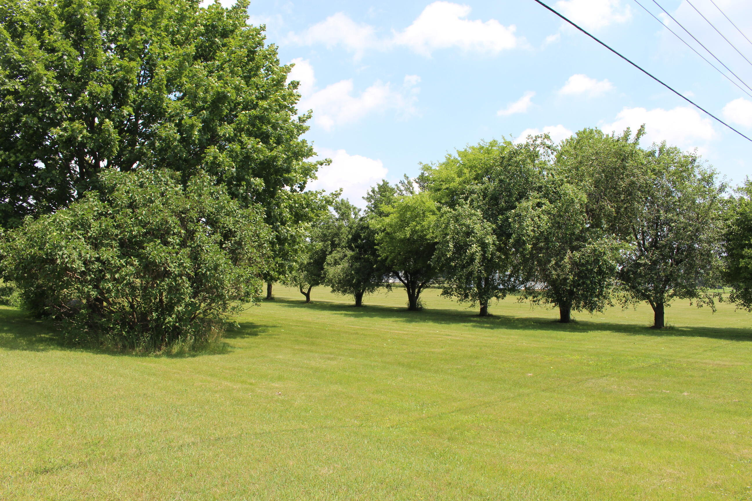 2786 Dinius Road Tecumseh, MI 49286 - Photo 3 of 49 IMG_0853