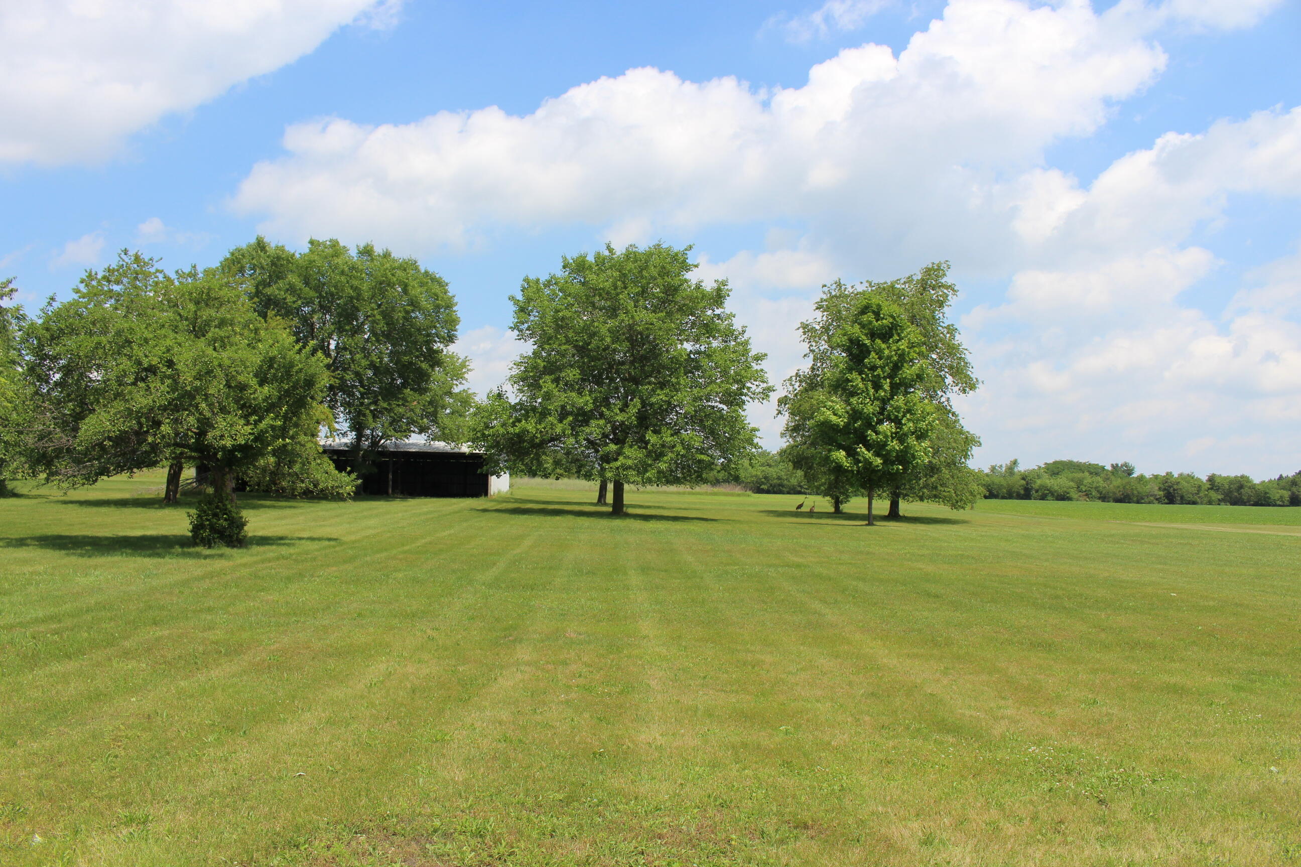 2786 Dinius Road Tecumseh, MI 49286 - Photo 10 of 49 IMG_0865