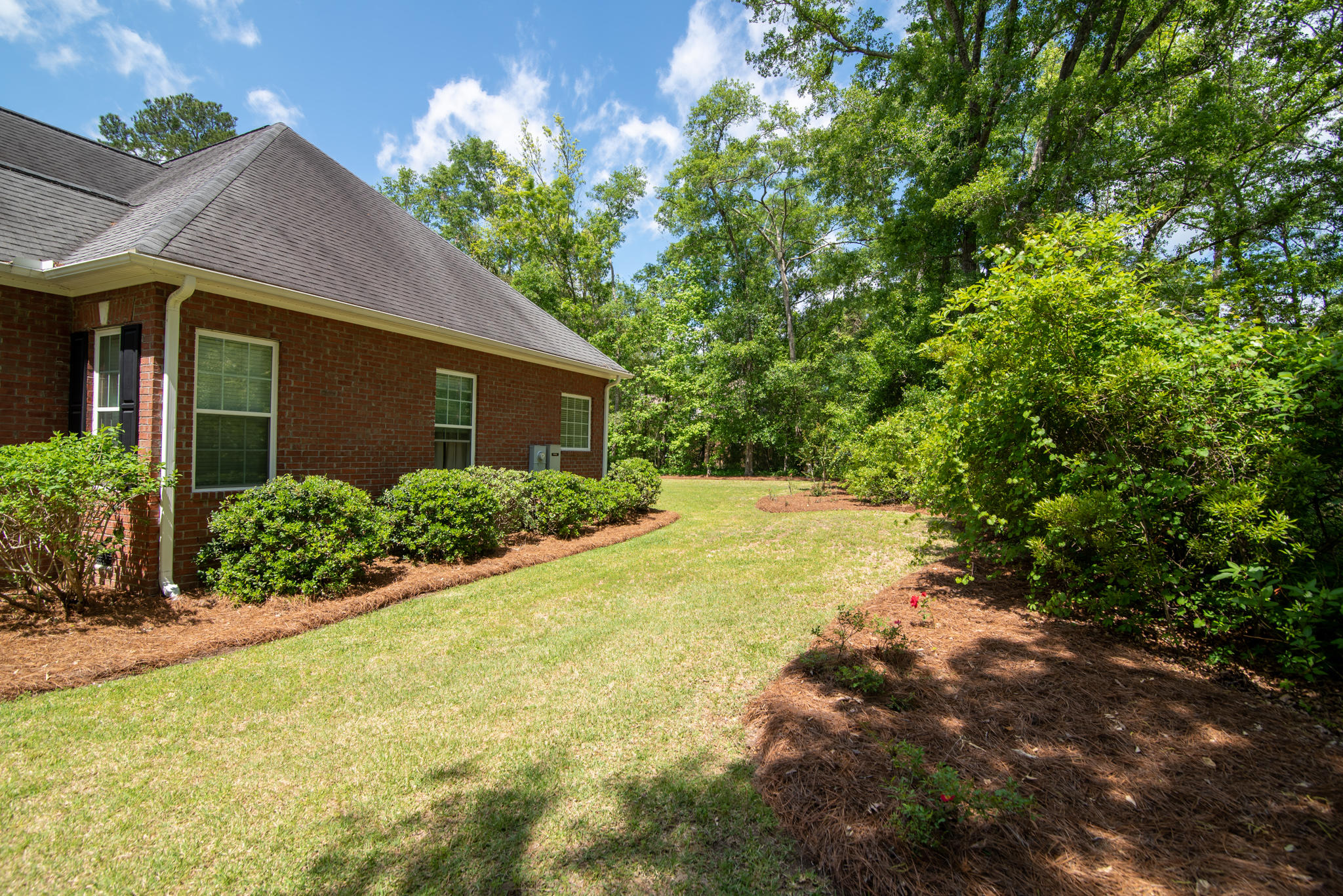 170 Scalybark Road Summerville, SC 29485 - Photo 14 of 68 170 Scalybark 11