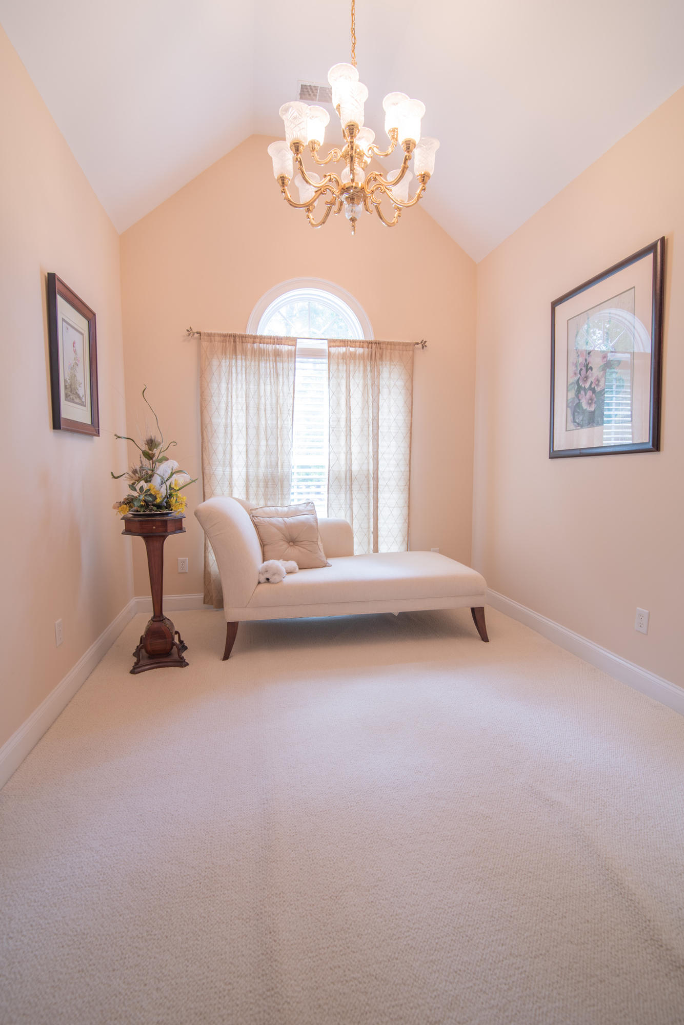 170 Scalybark Road Summerville, SC 29485 - Photo 37 of 68 170 Scalybark 14