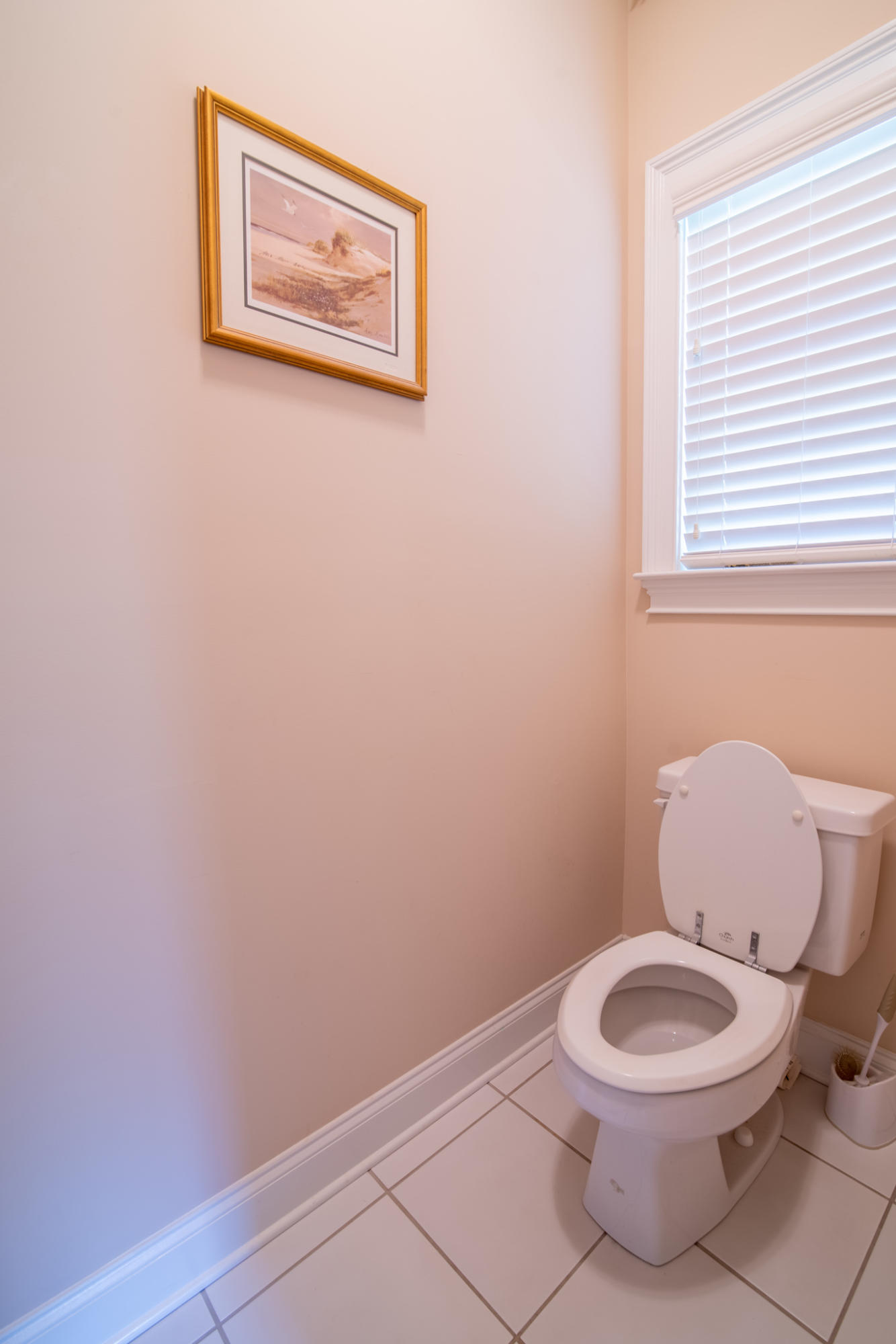 170 Scalybark Road Summerville, SC 29485 - Photo 40 of 68 170 Scalybark 19