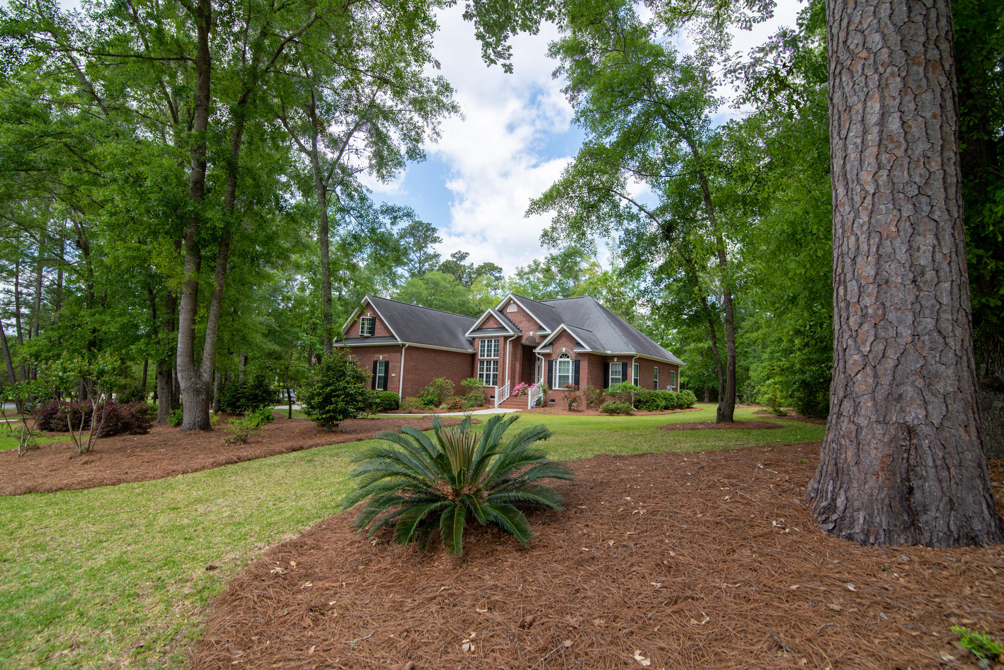 170 Scalybark Road Summerville, SC 29485 - Photo 5 of 68 170 Scalybark 2
