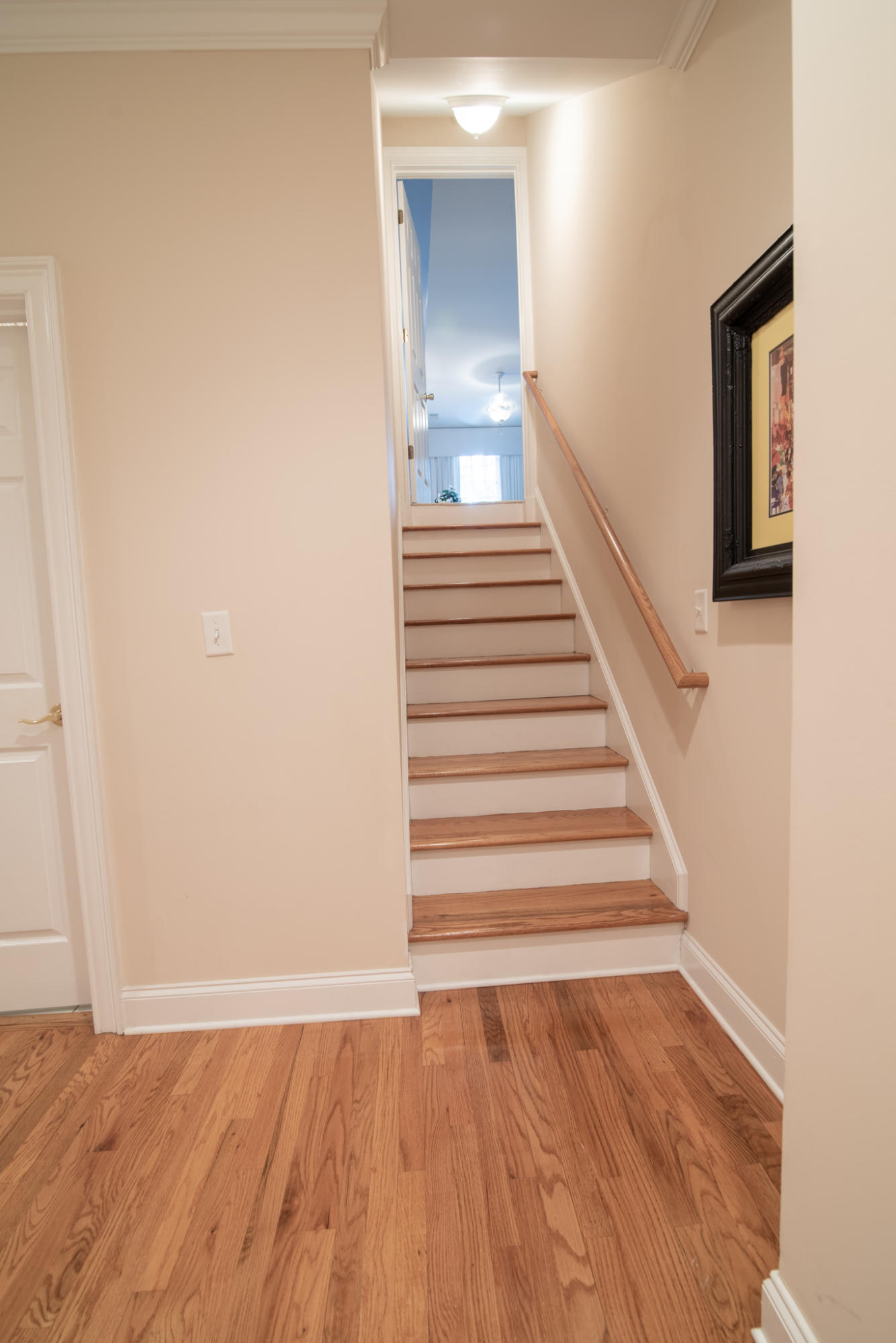 170 Scalybark Road Summerville, SC 29485 - Photo 52 of 68 170 Scalybark 43