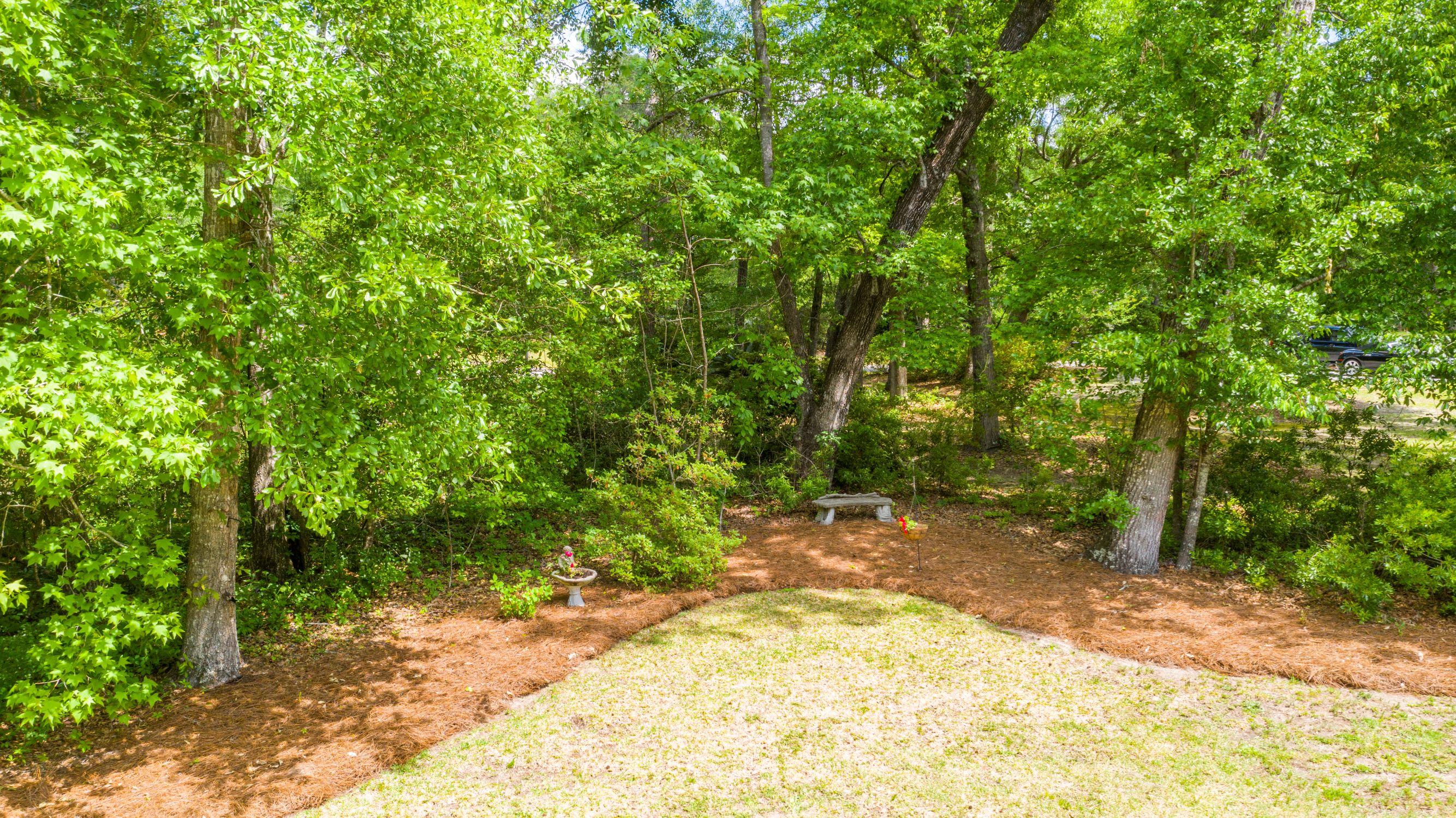 170 Scalybark Road Summerville, SC 29485 - Photo 65 of 68 170 Scalybark drone 12 resized
