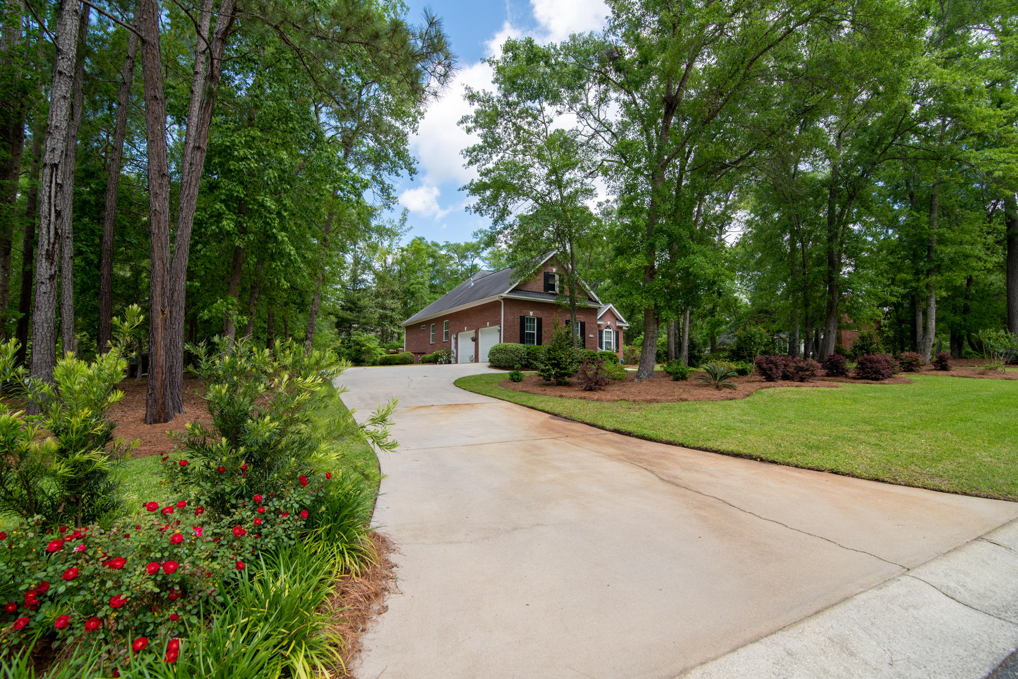 170 Scalybark Road Summerville, SC 29485 - Photo 8 of 68 170 Scalybark 5