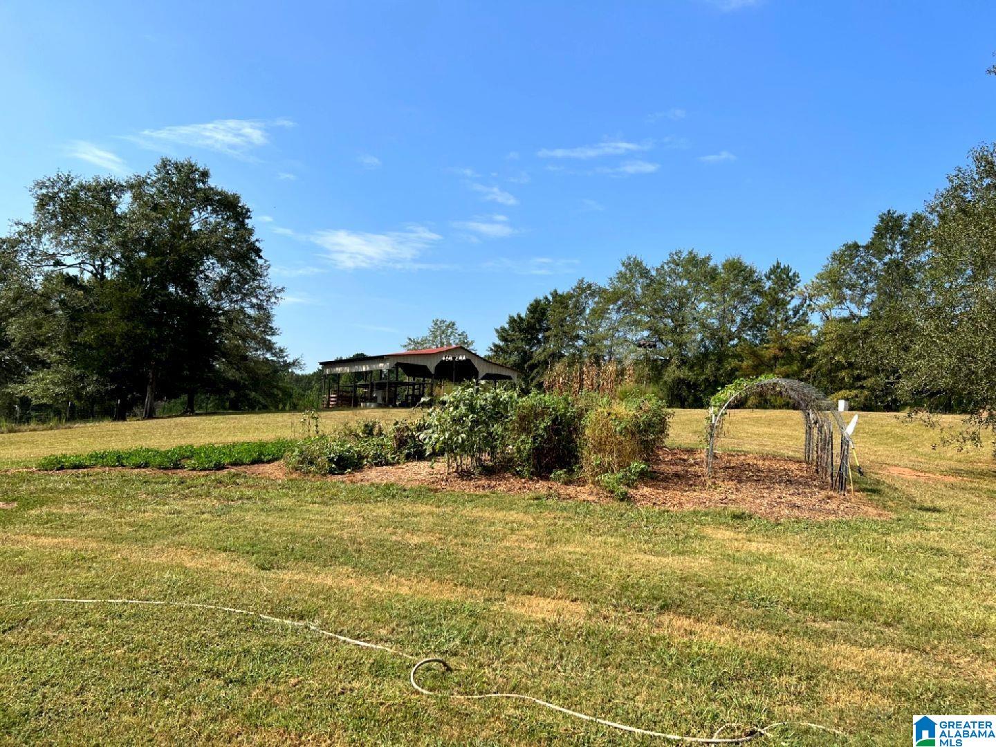 254 Summerlin Circle Delta, AL 36258 - Photo 7 of 55