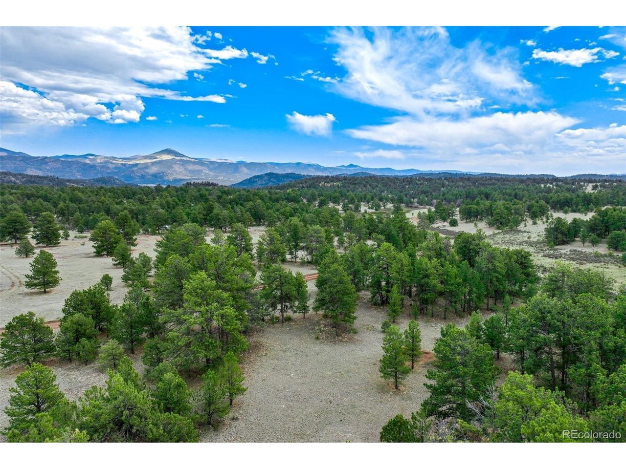 103 Doe Valley Road Guffey, CO 80820 - Photo 28 of 46