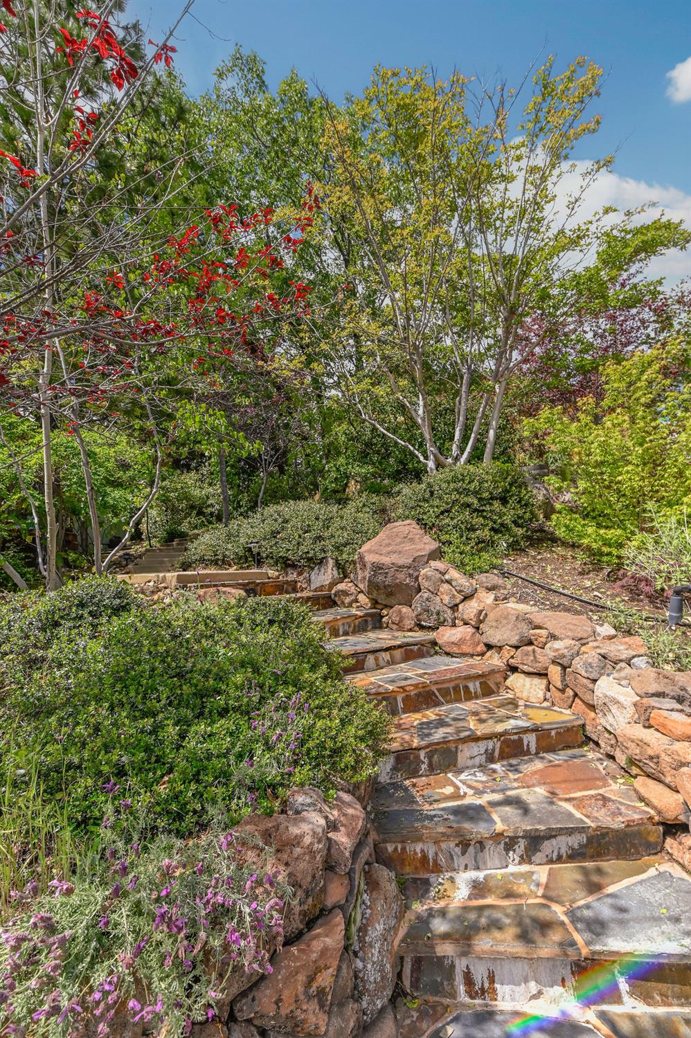 472 Redbud Court Murphys, CA 95247 - Photo 81 of 91