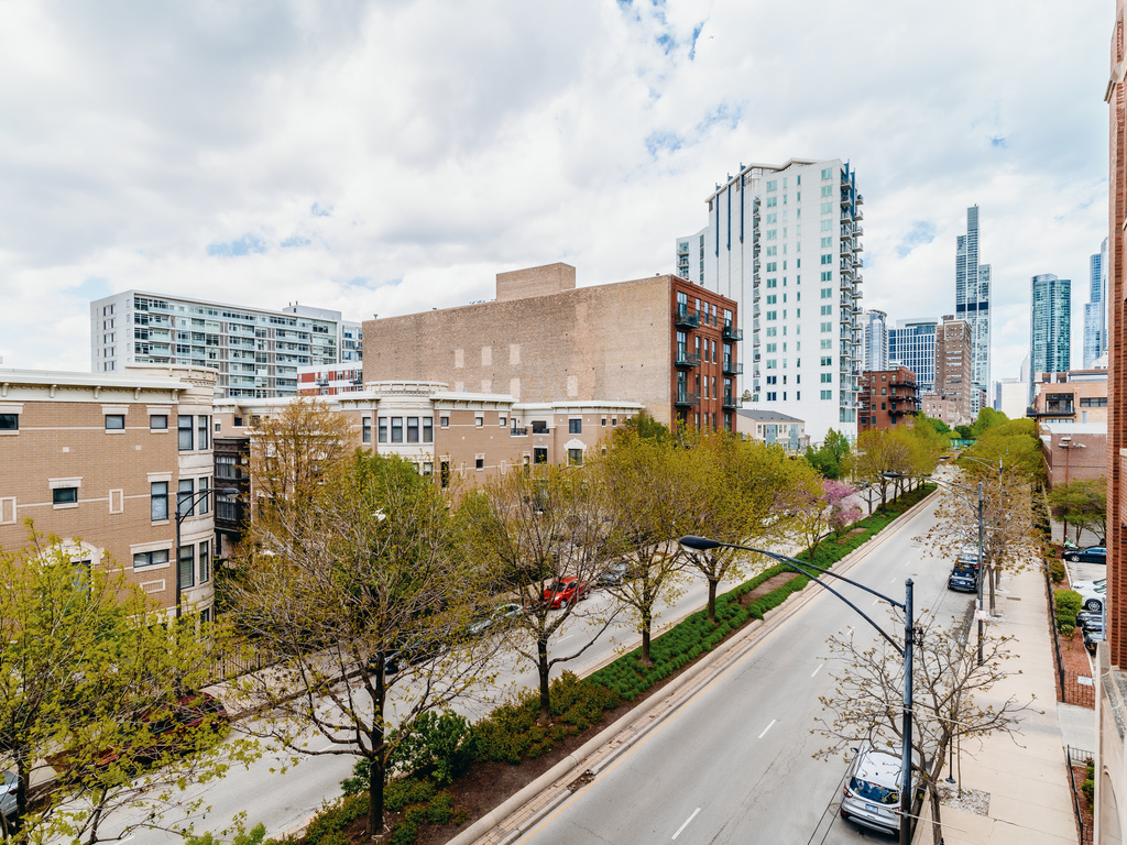 1727 South Indiana Avenue, Unit 324 Chicago, IL 60616 - Photo 24 of 35 a view of a city
