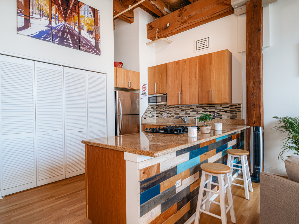 1727 South Indiana Avenue, Unit 324 Chicago, IL 60616 - Photo 9 of 35 a kitchen with stainless steel appliances granite countertop a refrigerator and a stove
