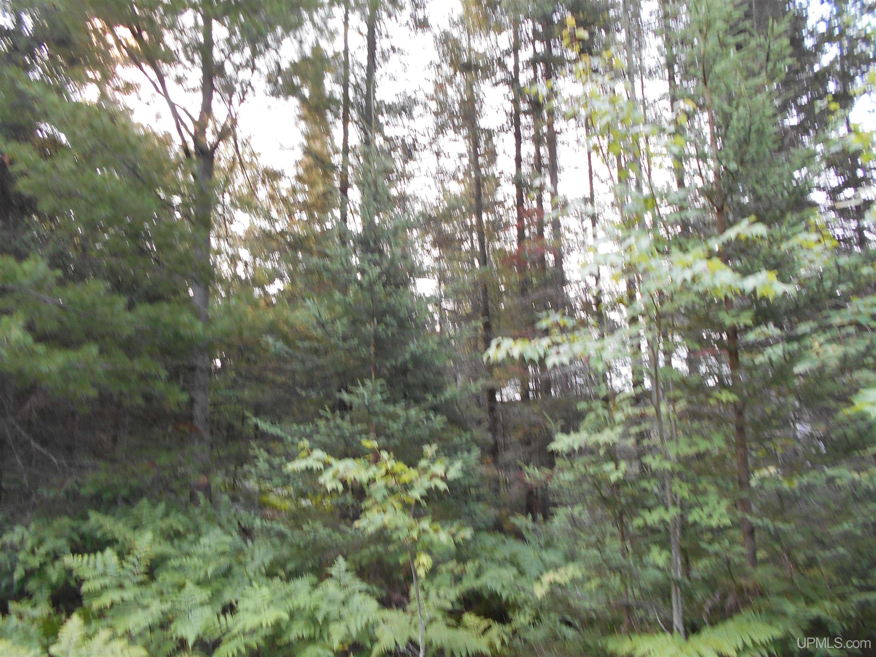 40-acres Garden Grade Road Garden, MI 49817 - Photo 16 of 51