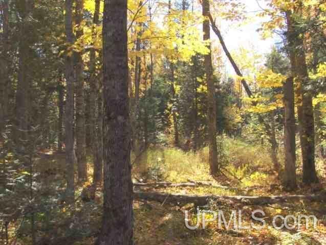 Tbd Irwin Road Baraga, MI 49908 - Photo 26 of 27
