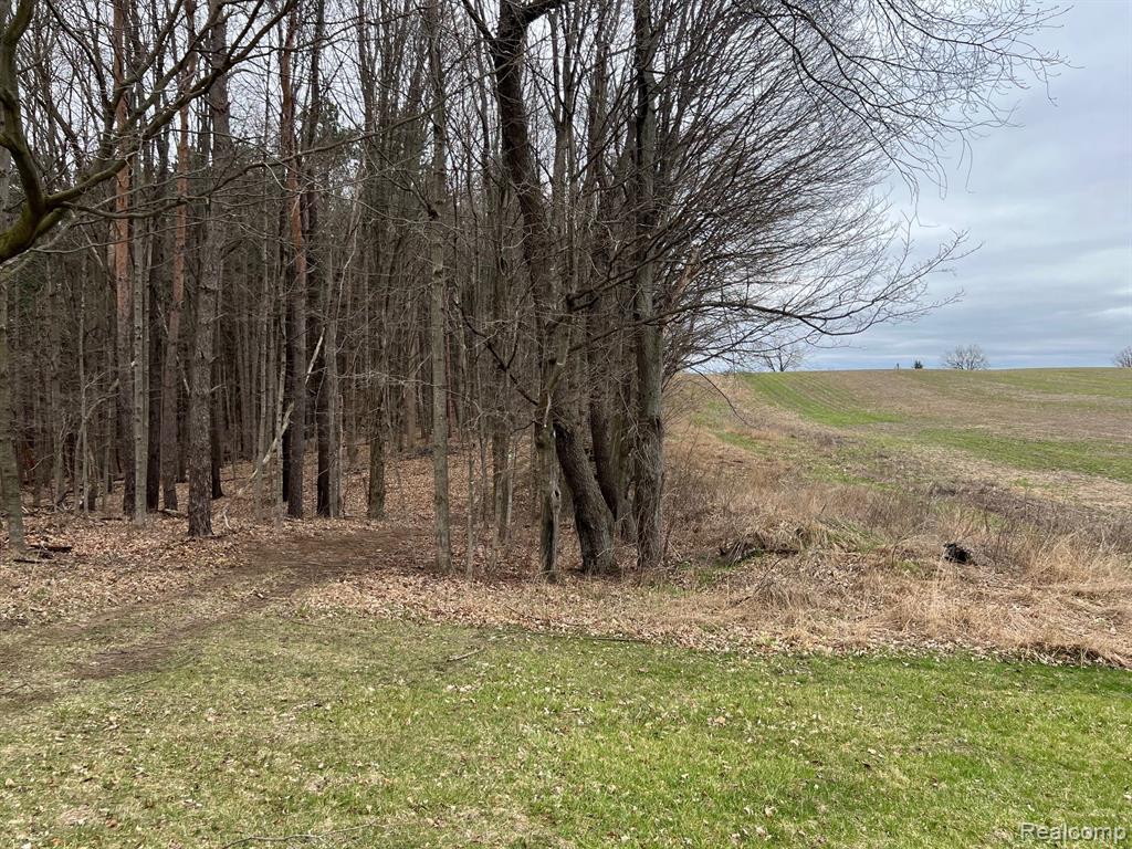 1763 Conley Road Attica, MI 48412 - Photo 32 of 45
