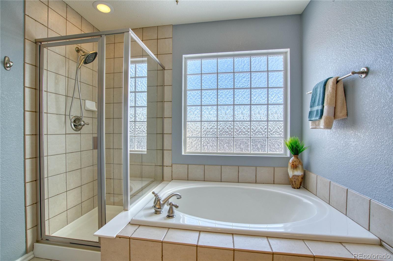 10958 Ashurst Lane Highlands Ranch, CO 80130 - Photo 19 of 34 Gallery Image 19