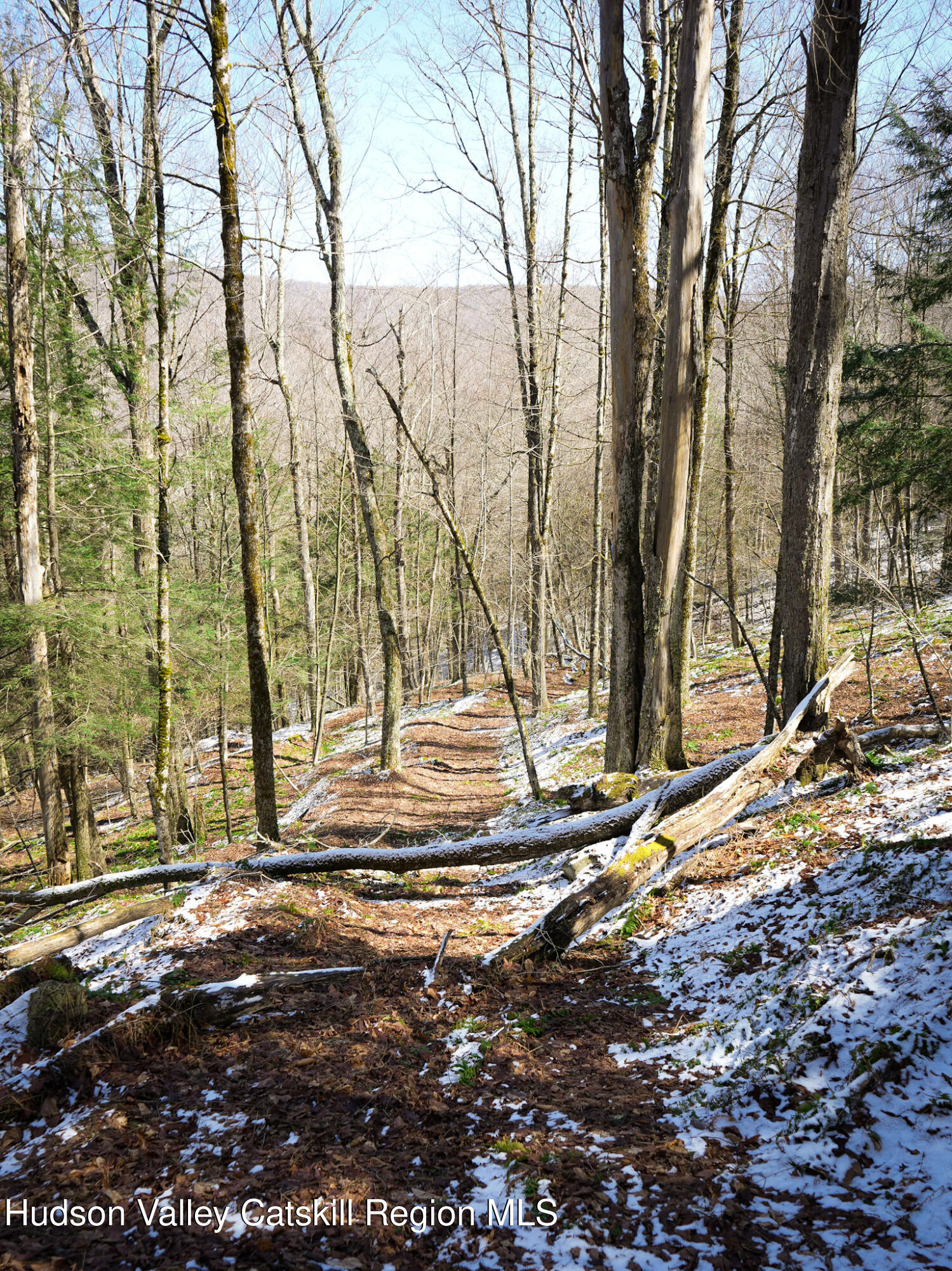 Tbd Rider Hollow Road Arkville, NY 12406 - Photo 22 of 29 Copy of 36-DSC00577