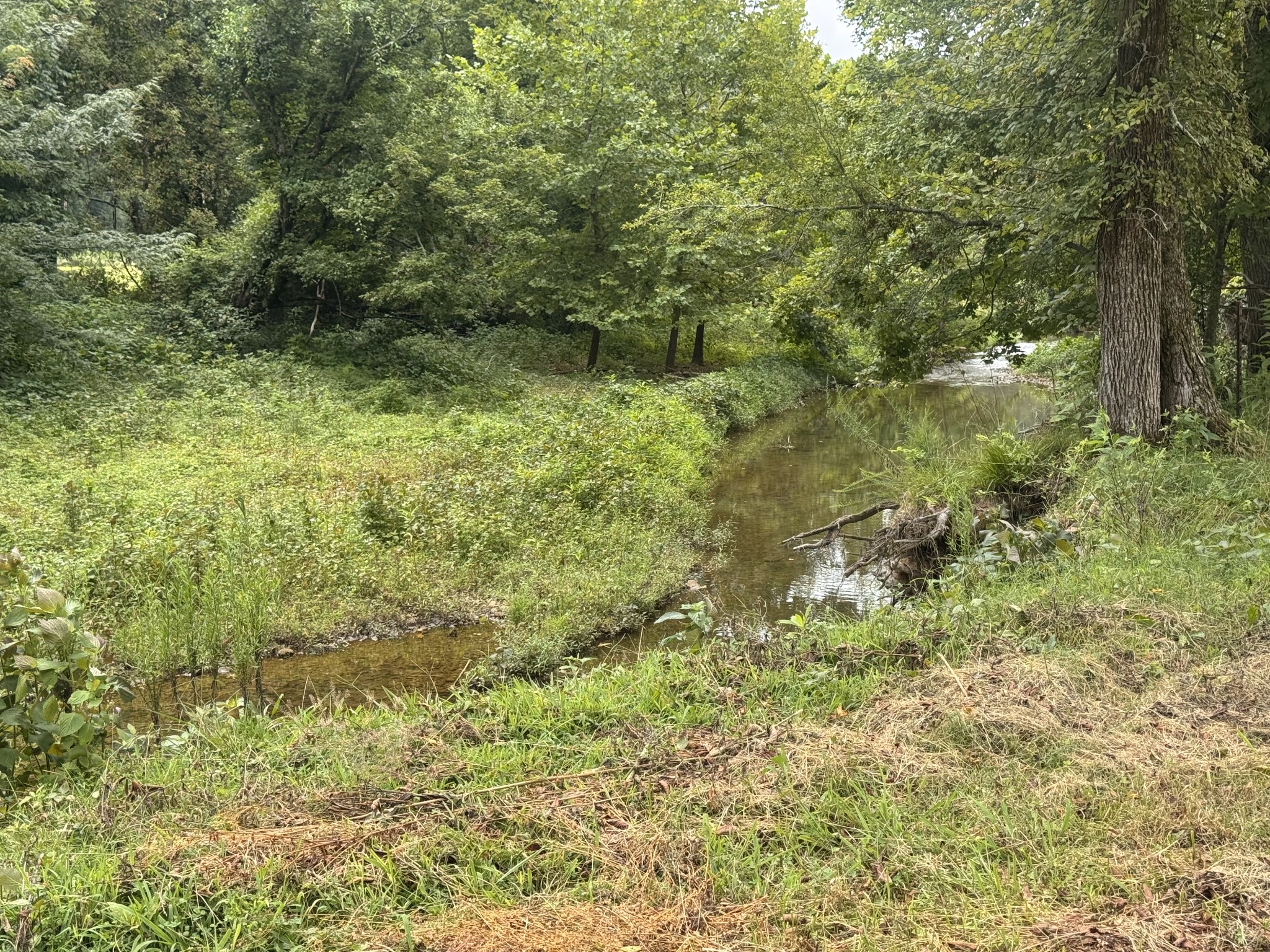 0 Upper Standing Rock Road Dover, TN 37058 - Photo 8 of 32 Gallery Image 8