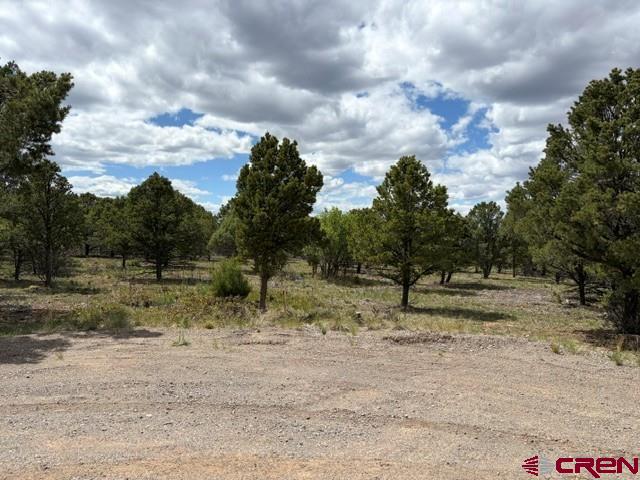 Lot 4 Tower Road Ridgway, CO 81432 - Photo 5 of 14
