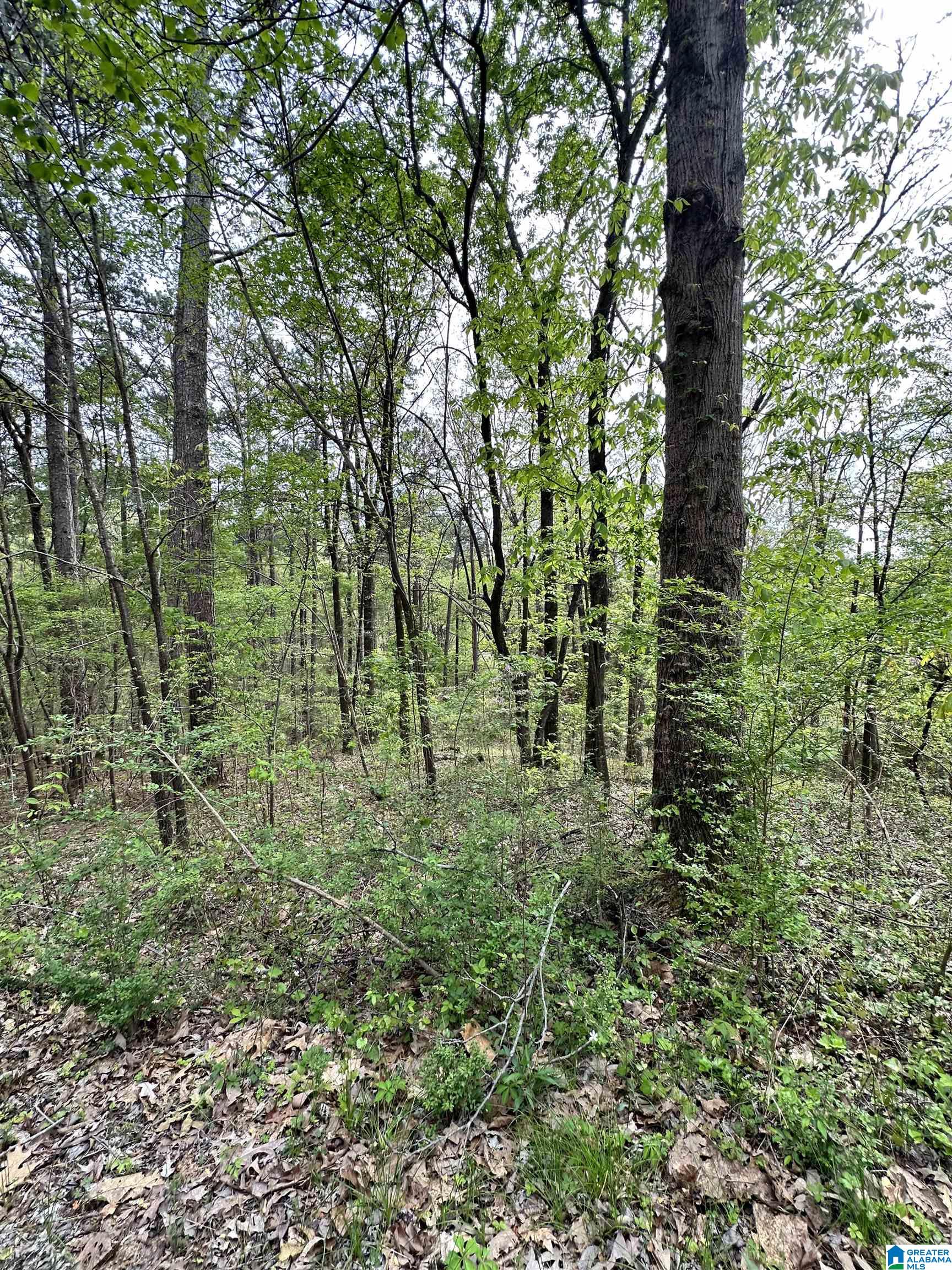 Lakeview Drive, Unit 53 Alpine, AL 35014 - Photo 9 of 35