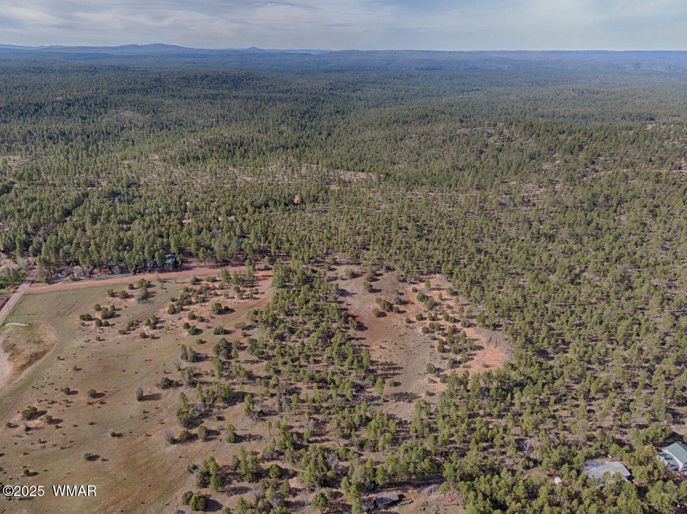 3350 West Rim Road, Unit 5 Lakeside, AZ 85929 - Photo 8 of 12 a view of a dry yard