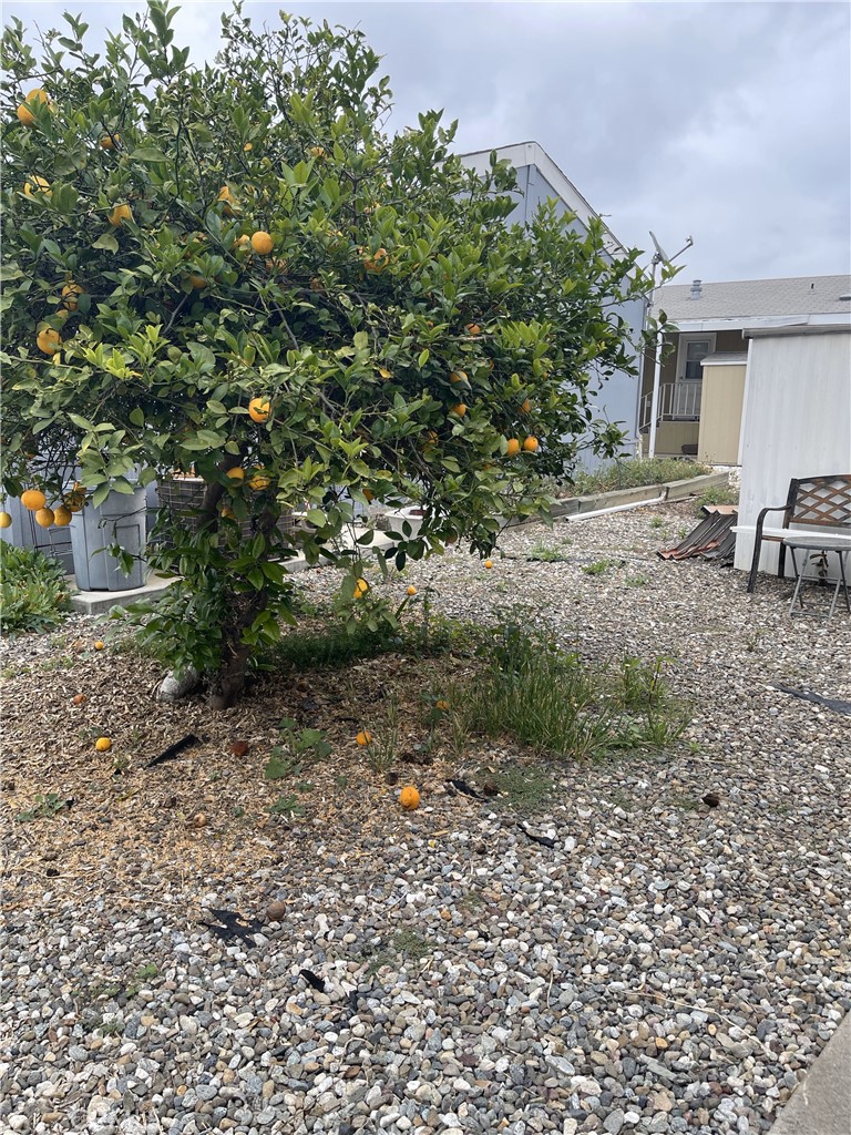 13 Palm Via Anaheim, CA 92801 - Photo 15 of 17 current