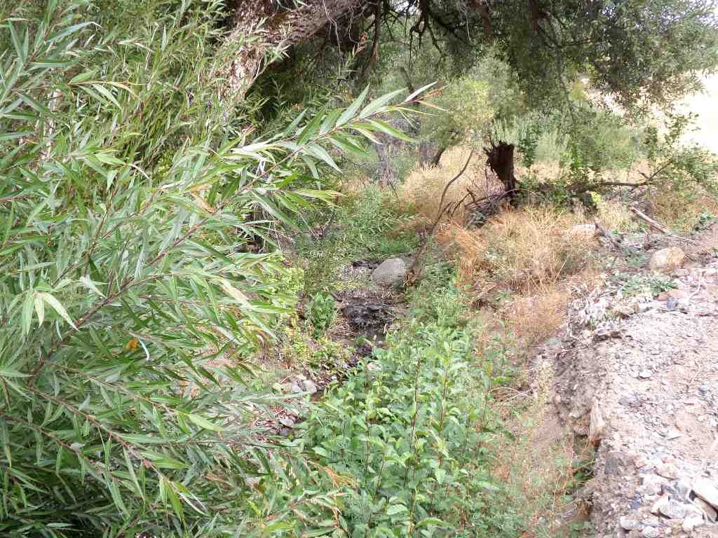 Xx2 Humbug Road Yreka, CA 96097 - Photo 14 of 15 Gallery Image 14