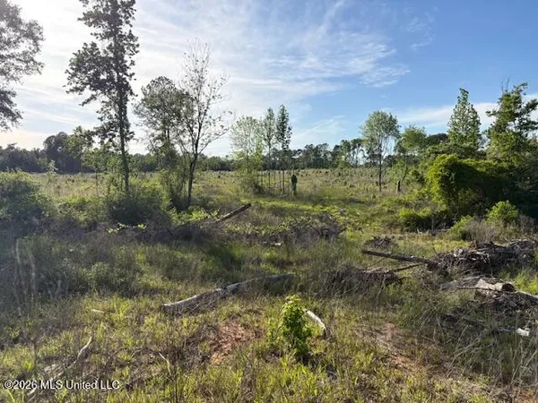 $124,000 | 737 State Highway 902, Pulaski, MS 39152