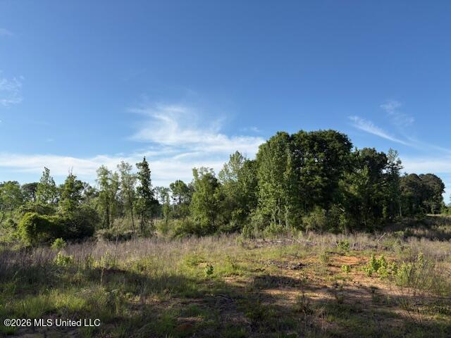 737 State Highway 902 Pulaski, MS 39152 - Photo 2 of 10 IMG_7573